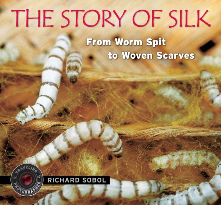 Story of Silk